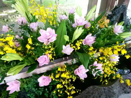 彌彦神社　(伊夜日子神社)の手水舎