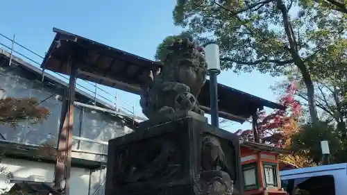 八坂神社(祇園さん)(京都府)