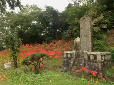 真浄寺(千葉県)