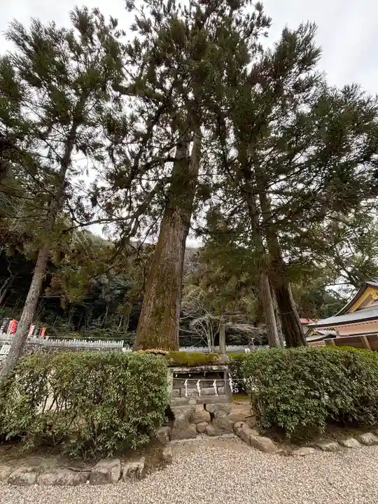 大縣神社(愛知県)