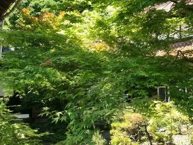 木舟山 順教寺(広島県)