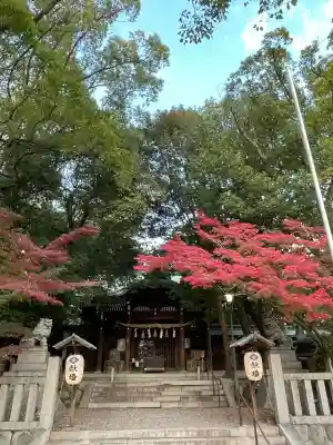 堤治神社(愛知県)