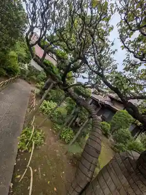 中道院(東京都)