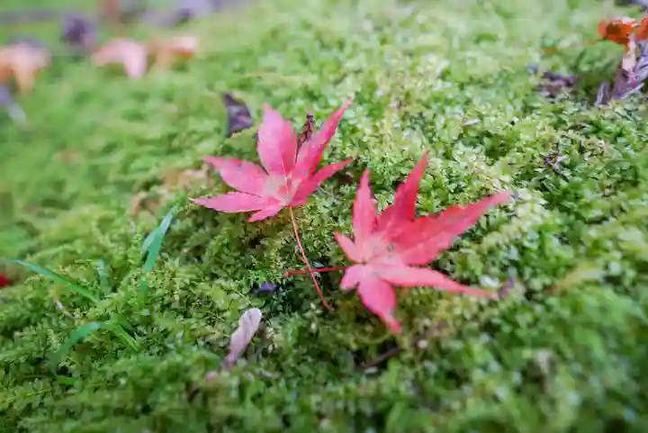 大寧寺(山口県)