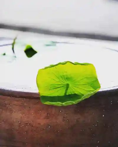 浄土寺(兵庫県)