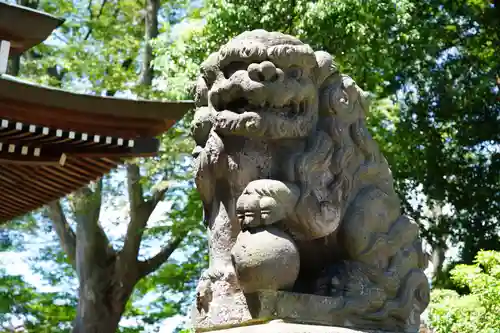 熊野福藏神社の狛犬