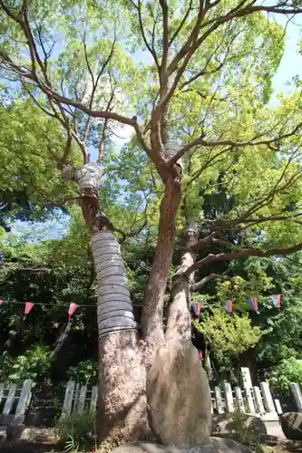 瀧泉寺（目黒不動尊）(東京都)
