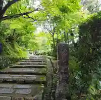 化野念仏寺(京都府)
