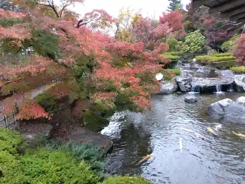 妙法寺(福井県)