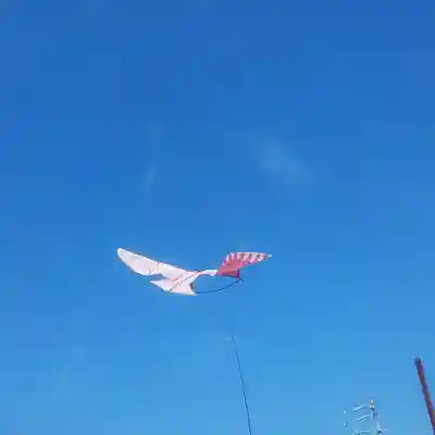 萩園神社の体験その他