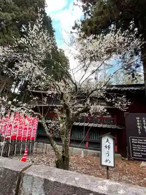 北口本宮冨士浅間神社(山梨県)