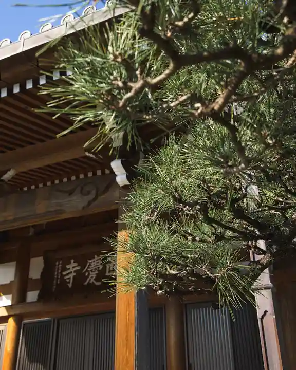 西慶寺(新田触不動尊)(群馬県)