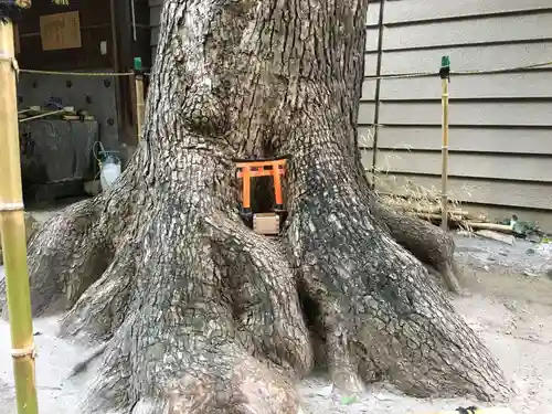 少彦名神社の自然