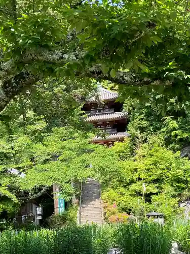 松尾寺の塔