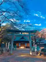 日枝神社の鳥居