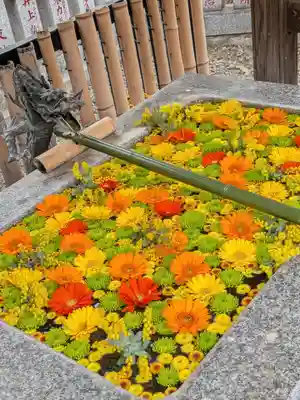高円寺氷川神社(東京都)
