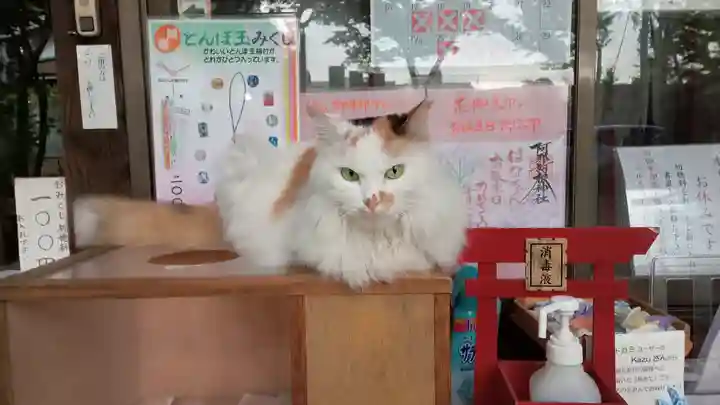 阿邪訶根神社の動物