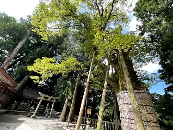 白山比咩神社(石川県)