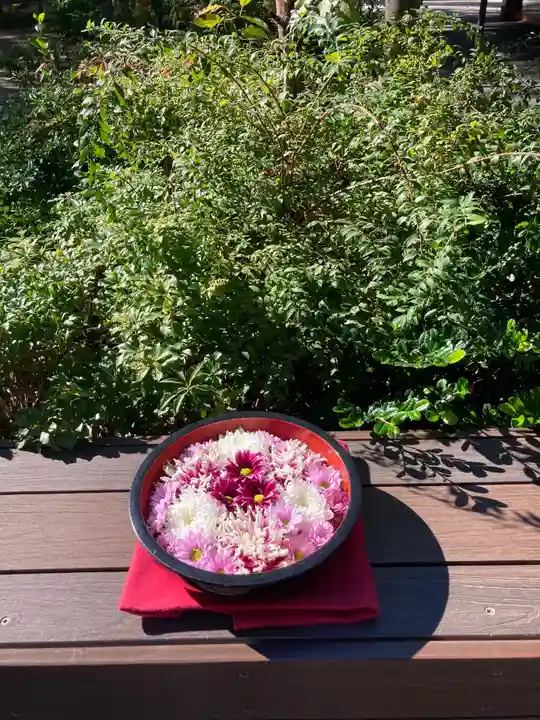 増上寺塔頭 三縁山 宝珠院の手水舎