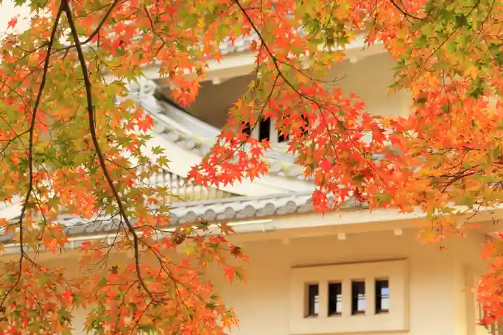 糠部神社の御朱印