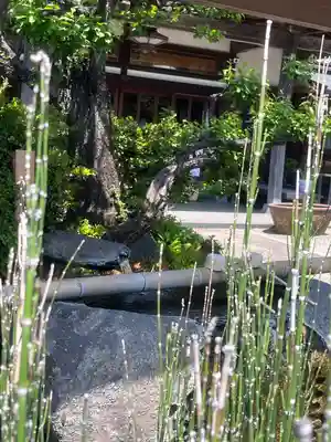 妙蓮寺(神奈川県)