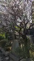 本納寺(東京都)