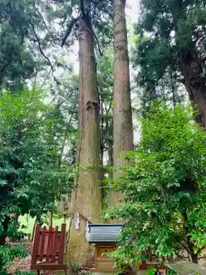 都々古別神社(八槻)(福島県)