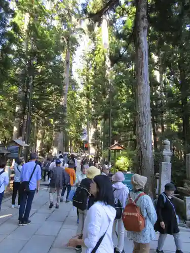 高野山金剛峯寺奥の院(和歌山県)