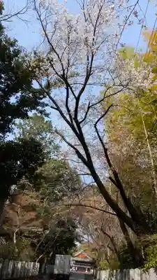 向日神社(京都府)