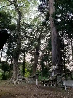 香取神社(千葉県)