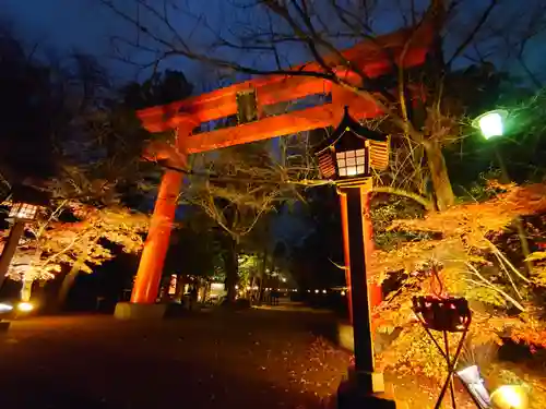 冠稲荷神社の鳥居