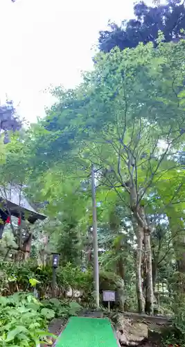 河口浅間神社(山梨県)
