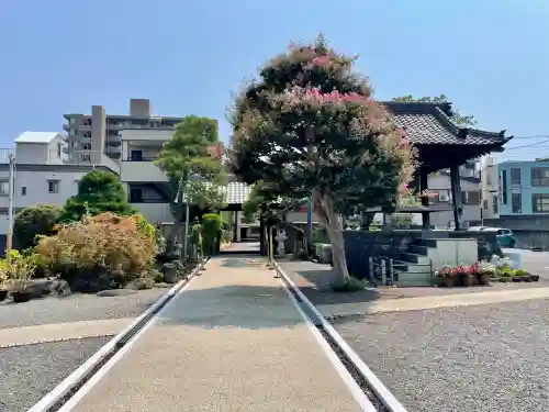 円明寺(静岡県)