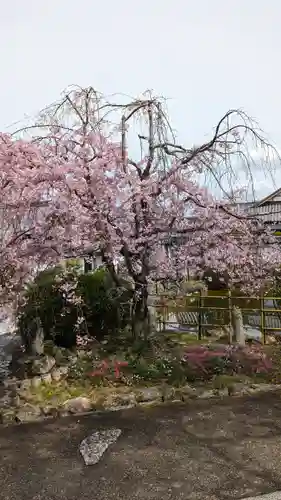 真正極楽寺（真如堂）(京都府)