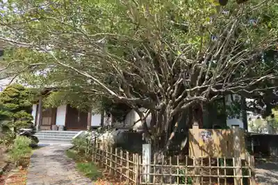 正法寺(愛知県)