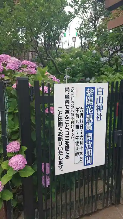 白山神社のその他建物