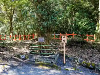 宇佐神宮の自然