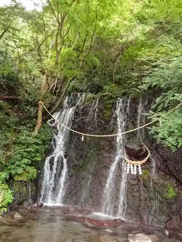 玉簾神社の自然