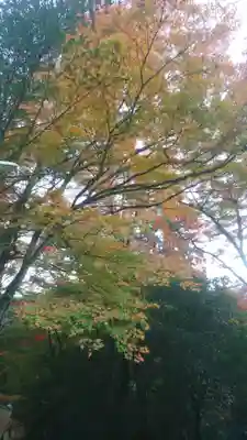 諏訪神社(鳥取県)