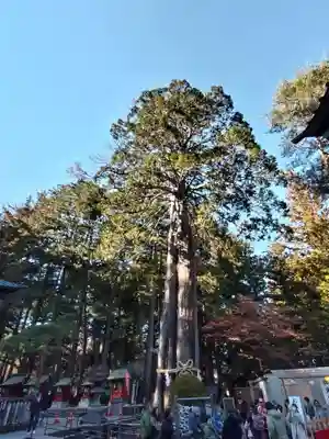 北口本宮冨士浅間神社(山梨県)