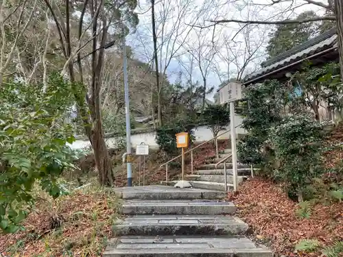 十輪寺(京都府)