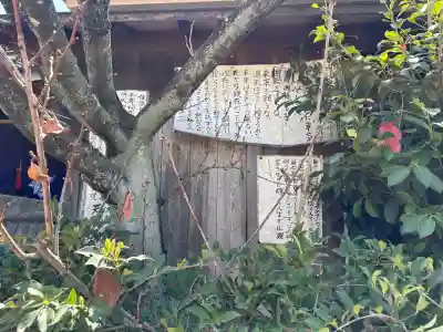 西念寺の{uncategorized: "未分類", other: "その他", undefined: "問題あり", building: "その他建物", grave: "お墓", sacred_gate: "鳥居", guardian: "狛犬", statue: "像", buddha: "仏像", history: "歴史", nature: "自然", garden: "庭園", animal: "動物", pagoda: "塔", temizu: "手水舎", mountain_gate: "山門・神門", sanctuary: "本殿・本堂", subordinate: "末社・摂社", art: "芸術", scenery: "景色", jizo: "地蔵", ema: "絵馬", goshuin: "御朱印", omikuji: "おみくじ", items: "授与品その他", amulet: "お守り", goshuincho: "御朱印帳", eats: "食事", festival: "お祭り", votive_dance: "神楽", shichigosan: "七五三参", wedding: "結婚式", experience: "体験その他", initially: "初詣", around: "周辺", anti_infection: "感染症対策"}