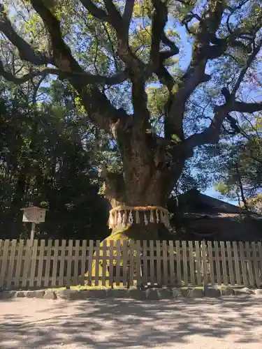 熱田神宮の御朱印