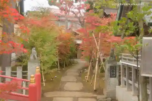 須賀神社のその他建物