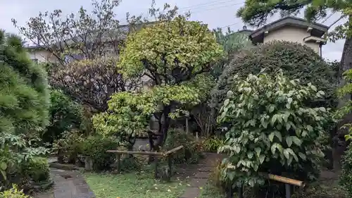 収玄寺の庭園