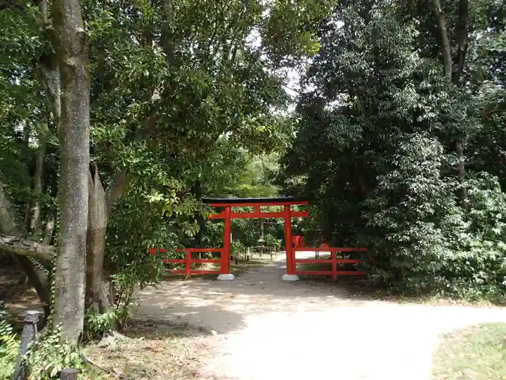 半木神社(賀茂別雷神社境外末社)の鳥居