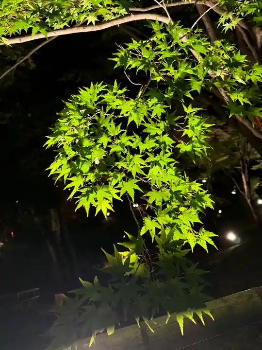 北野天満宮(京都府)