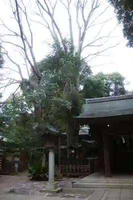 駒木諏訪神社(千葉県)
