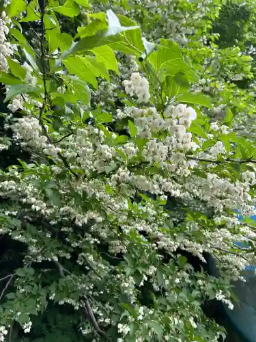 白山神社(新潟県)