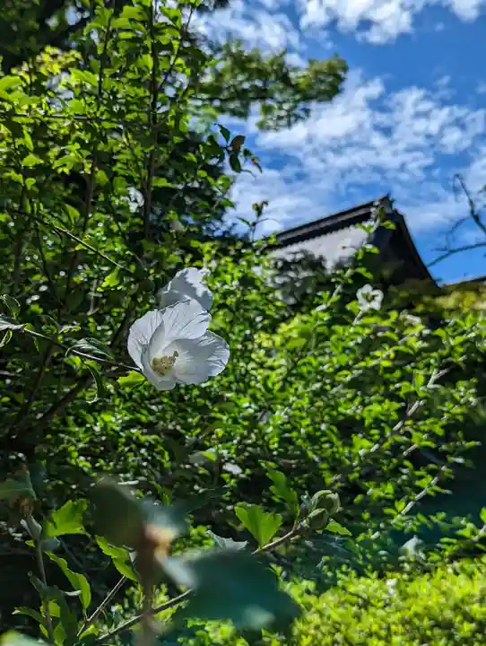 廣隆寺(京都府)